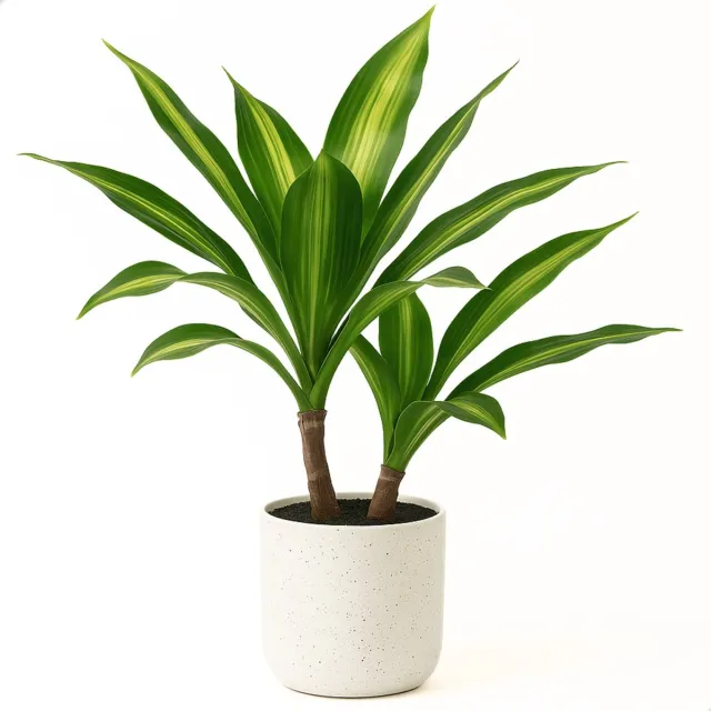 Boncy Premium Kunstplant in pot - 40 cm Tropische Dracaena Lemon Lime - Kunst plant - Nep planten voor Binnen en Buiten - Kamer Decoratie - Nepplanten Kunstplanten Boompje - Kunstbloemen Tropisch Lemon 40cm