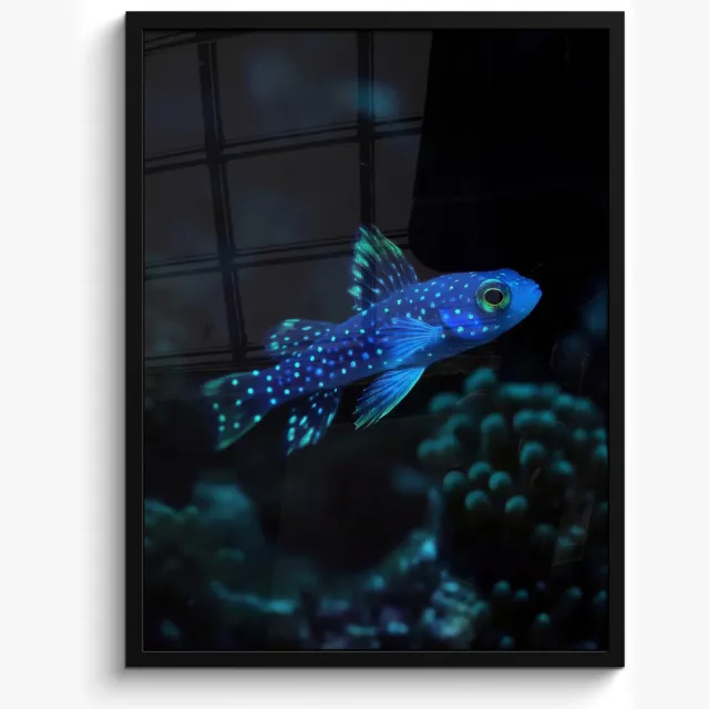 FrameYourWall Poster in lijst - Fotolijst 50x70 cm - Posters - Vis - Stippen - Koraal - Blauw - Posterlijst zwart - Decoratie - Wanddecoratie woonkamer - Muurdecoratie slaapkamer