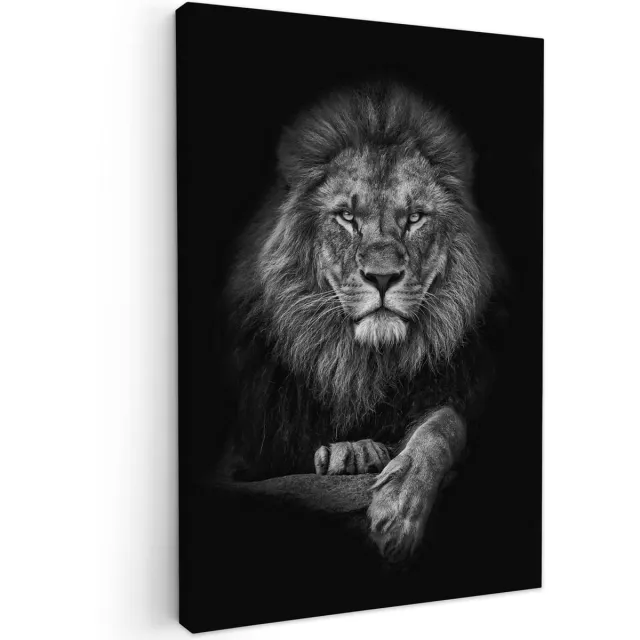 Canvas afbeelding 40x60 cm zwart wit decoratie woonkamer foto's zwart-wit ophangen muur decoratie woonkamer woning decoratie moderne wanddecoratie bosdieren - leeuw - wit - dieren