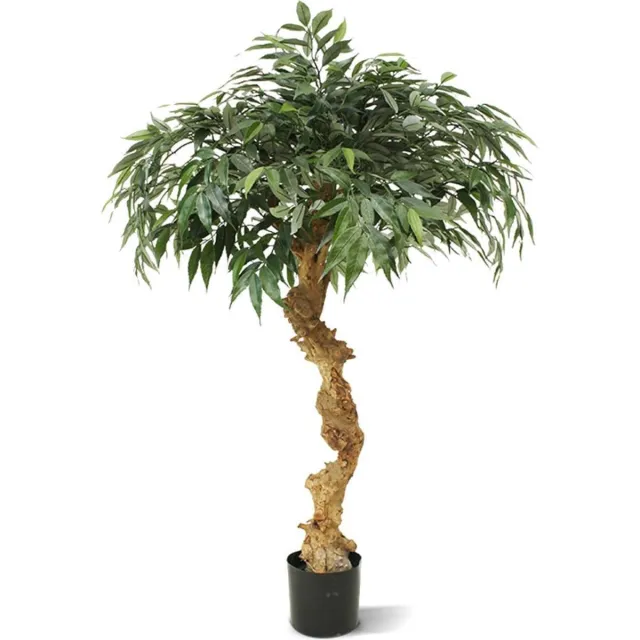 maxifleur Kunstplanten Shirakashi kunst bonsai op stam 100cm groen