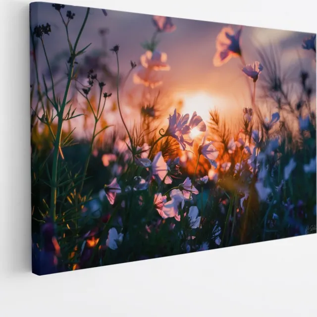 Saammp Canvas Schilderij - Landschap - Bloemen met zonsondergang - Natuur - 45x30 - Foto op canvas - Wanddecoratie - Muurdecoratie Woonkamer - Slaapkamer decoratie - Canvas Print Multicolor