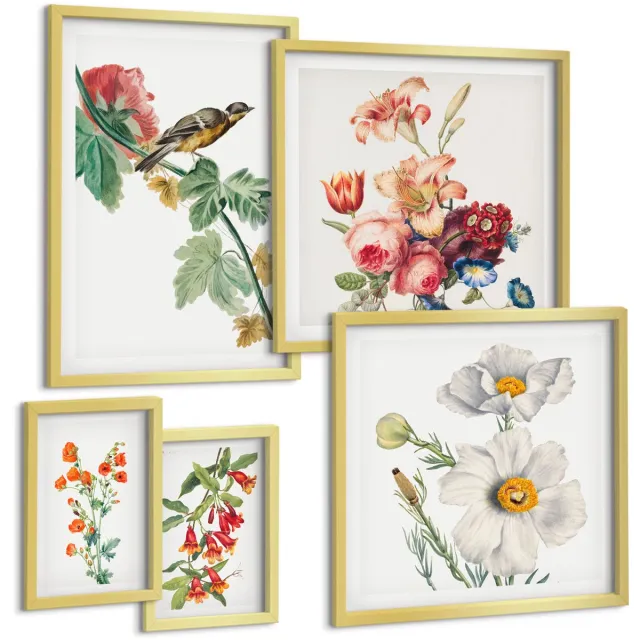 TULUP 5-Delige Schilderij Set - Vintage bloemen- en vogelmotieven voor huisdecoratie - 50 x 50 cm, 20 x 30 cm en 40 x 60 cm - Moderne Wanddecoratie - Slaapkamer - Interieur Decoratie Gouden lijst