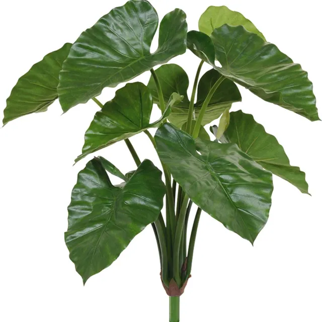 Designplants Alocasia Calidora Kunstplant 70 multi colour