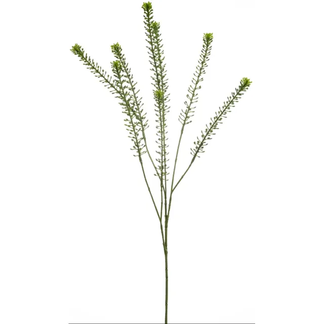 Fleurdirect Kunsttak Lepidium - Kunststof / Metaal - Groen - 85 cm hoog - Decoratie Tak