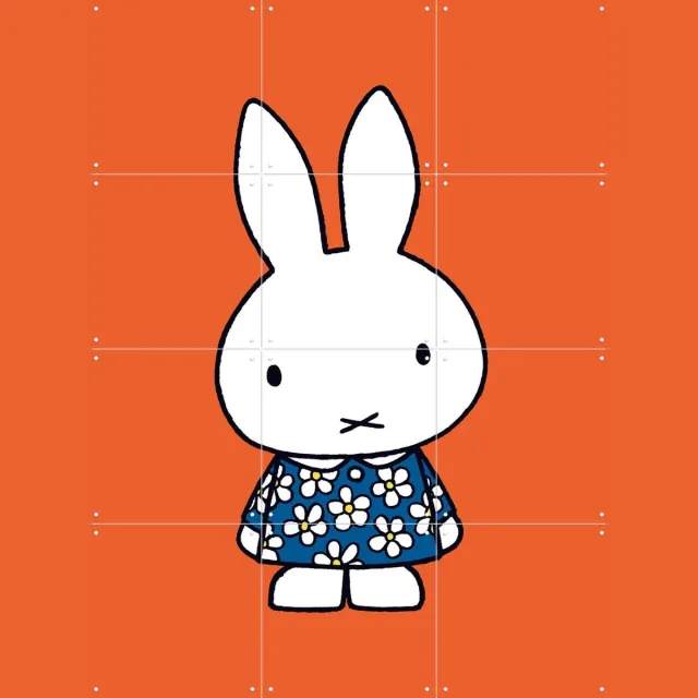 IXXI Nijntje Oranje, Nijntje - 60 x 80 cm - Grote wanddecoratie en posters - Speels, Cartoonesk, Illustraties, Babykamer, Nijntje