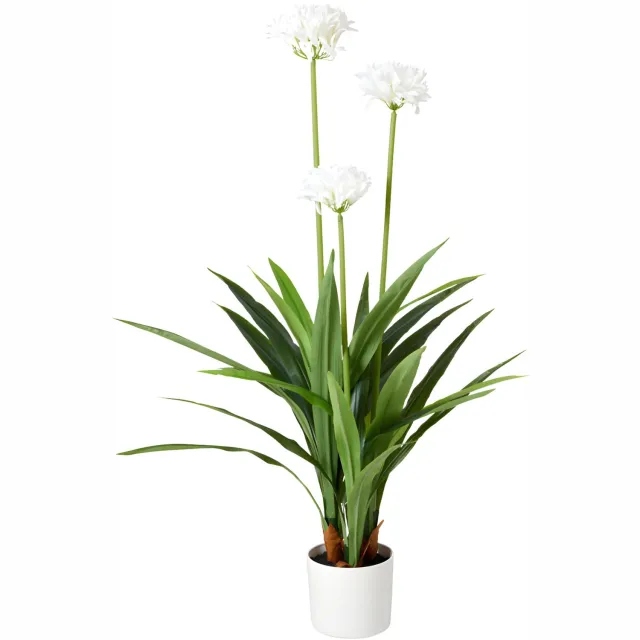 Botanical Decoration Grote kunstbloem in pot Agapant, 70 x 120 cm Wit
