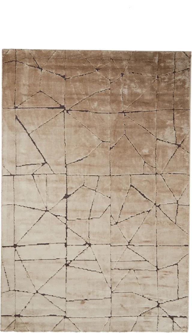 Light & Living Vloerkleed DACULA - 200x300x0.5cm - Bruin