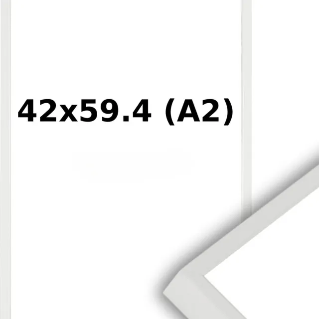 Lichtendonk Aluminium Wissellijst A2 42 x 59.4 - Matzilver - Helder Glas - Professional