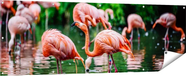 Gards Tuinposter Kudde Flamingo's in de Jungle in het Water - 180x60 cm - Tuindoek - Tuindecoratie - Wanddecoratie buiten - Tuinschilderij Multikleur