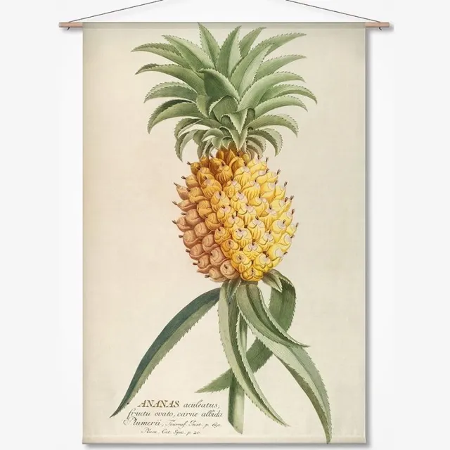 Naturalis Unlimited Wandkleed Ananas geel