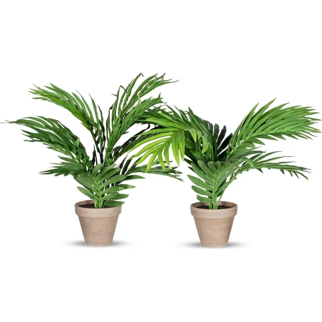 HTT Decorations Kunstplant Areca palm H35 cm (2 stuks) Groen