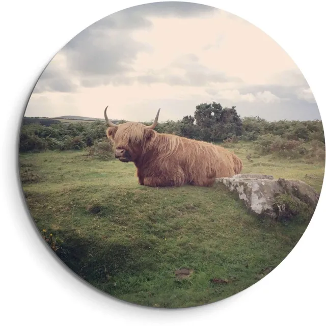 KitchenArt Rustige Hooglander in de natuur – Muurcirkel Binnen - ø 40 cm - Wandcirkel - Mét Ophangsysteem - Wanddecoratie - Muurdecoratie