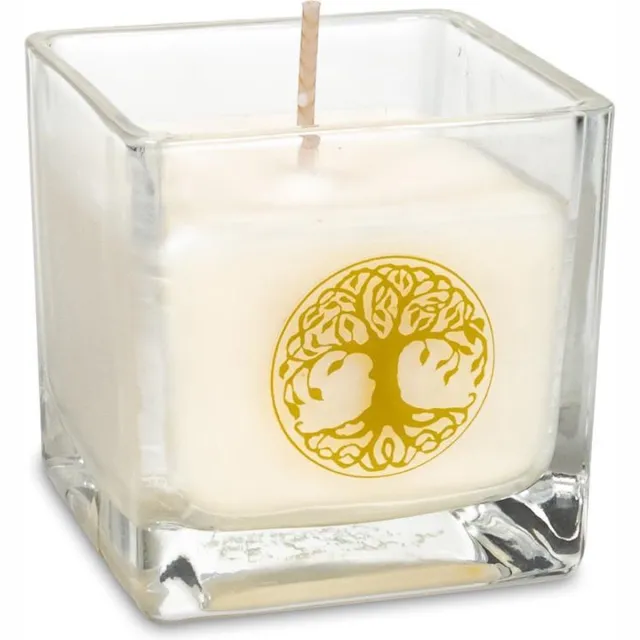 Phoenix Import Mani Bhadra Koolzaadwas Ecologische Geurkaars Levensboom Wit