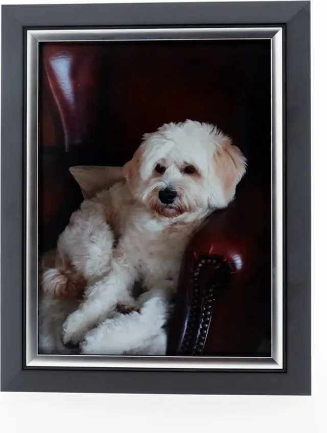 AL Houten Fotolijst - Zwart / Zilver - 30 x 30 cm