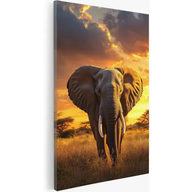 Saammp Canvas Schilderij - Olifant met zonsondergang - Savanne - Dieren - Natuur - 80x120 - Foto op canvas - Wanddecoratie - Muurdecoratie Woonkamer - Slaapkamer decoratie - Canvas Print Multicolor