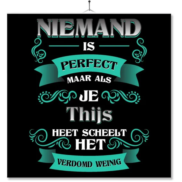 MC Living Tegel Met Opdruk | Kado | Cadeau | Niemand Is Perfect Maar Als Je Thijs Heet Scheelt Het Verdomd Weinig Multi-Color