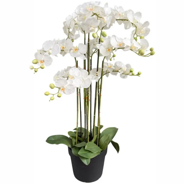 Oosterik Home Orchidee wit in pot H 110 cm kunstplant Oosterik Home onbekend