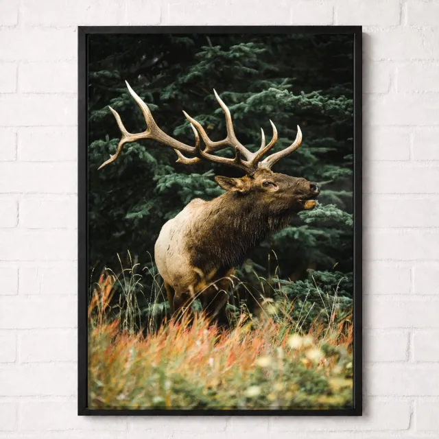 Kleurmedia Wapiti in het Bos Poster - Wildlife Nature Collection - Natuur Posters - A2+ 43,2 x 61 cm Bruin