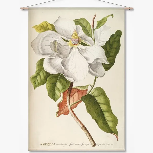 Naturalis Unlimited Wandkleed-XL Magnolia - botanische prent van G. D. Ehret groen