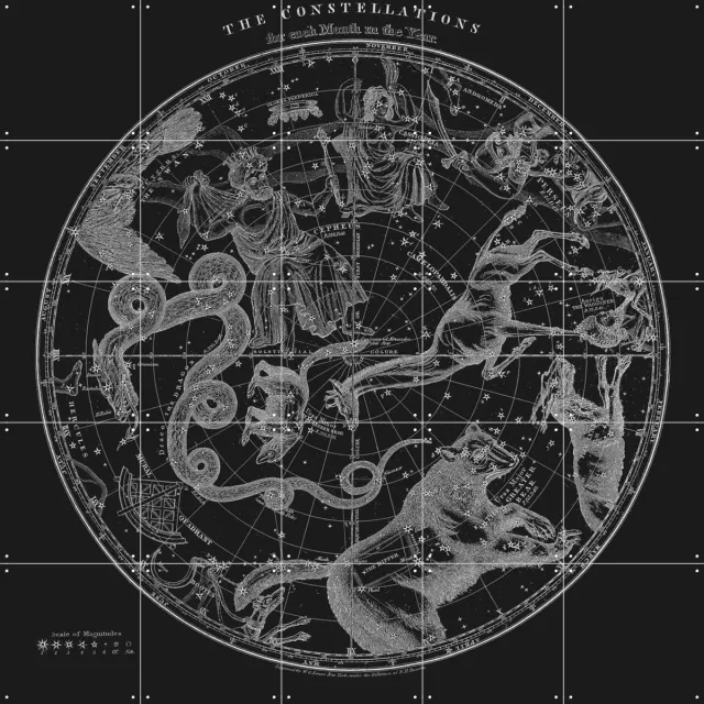 IXXI The Constellations black, Aster Edition - 100 x 100 cm - Grote wanddecoratie en posters - Vintage, Illustraties, Houtsnede, Woonkamer, Mancave Monochroom / Zwart / Donkere tinten / Zwart en wit