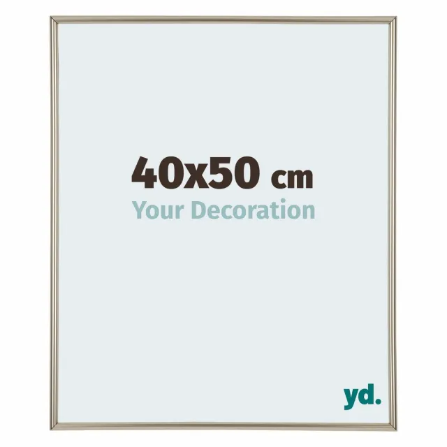 yd. Your Decoration - Fotolijst 40x50 cm - Kunststof - Champagne - Annecy