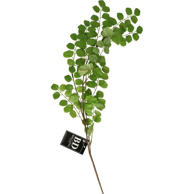 Bellatio Design Kunstbloem bladgroen tak Acacia - 90 cm - boeket opvulling - groen - kunst zijdebloemen