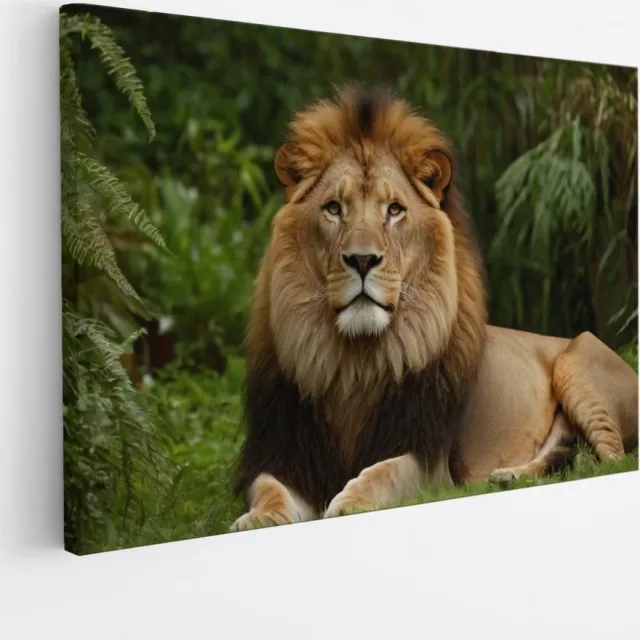 Saammp Canvas Schilderij - Leeuw in de Jungle - Natuur - Dieren - 90x60 - Foto op canvas - Wanddecoratie - Muurdecoratie Woonkamer - Slaapkamer decoratie - Canvas Print Multicolor