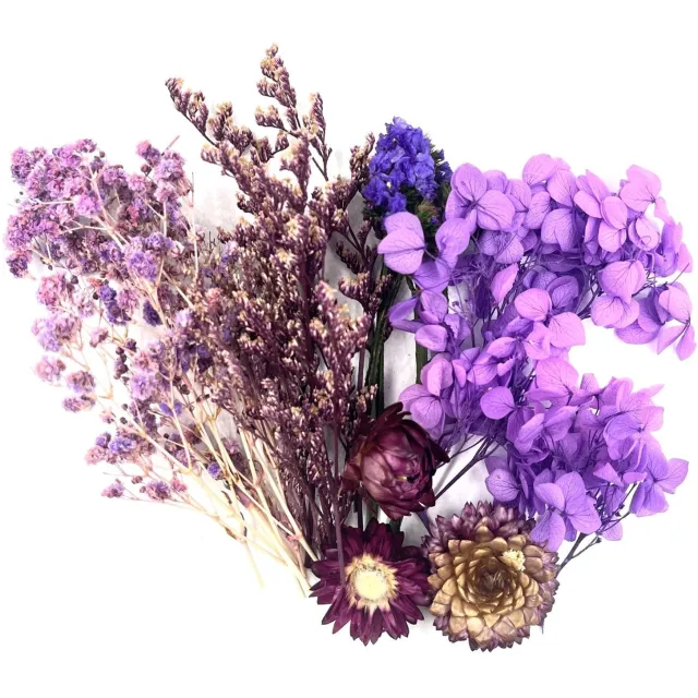 Famanu Kleine gedroogde bloemen set voor knutselen, epoxy en scrapbooking