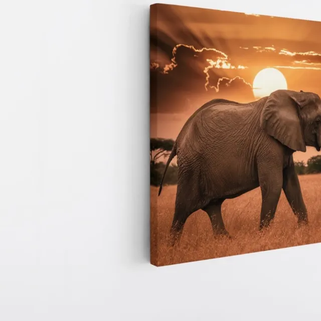 Saammp Canvas Schilderij - olifant in de Zonsondergang - Afrika - Dieren - 20x20 - Foto op canvas - Wanddecoratie - muurdecoratie Woonkamer - Slaapkamer decoratie - Canvas Print Multicolor
