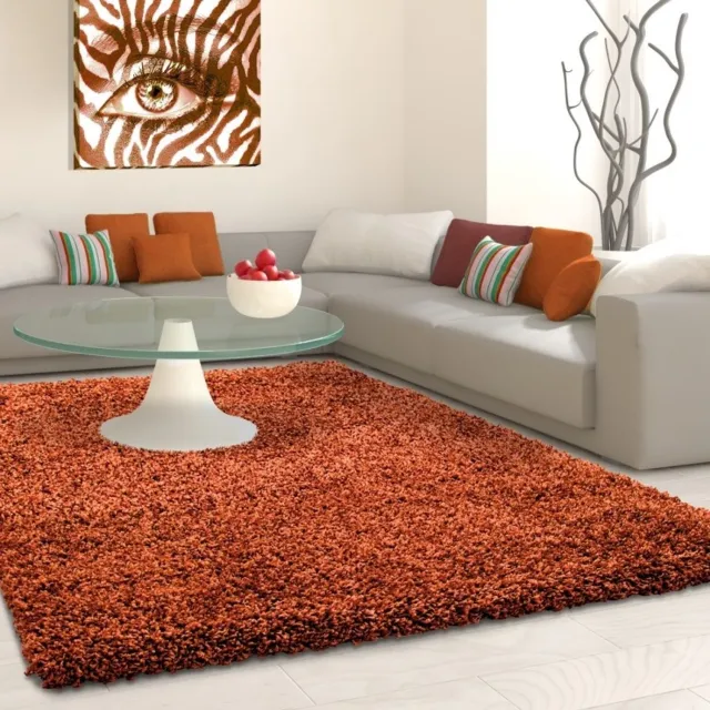 Ayyildiz Hoogpolig vloerkleed, effen kleur - terracotta, vloerkleed voor de woonkamer, jute achterkant, afmeting: 80 x 150 cm Rood,Bruin