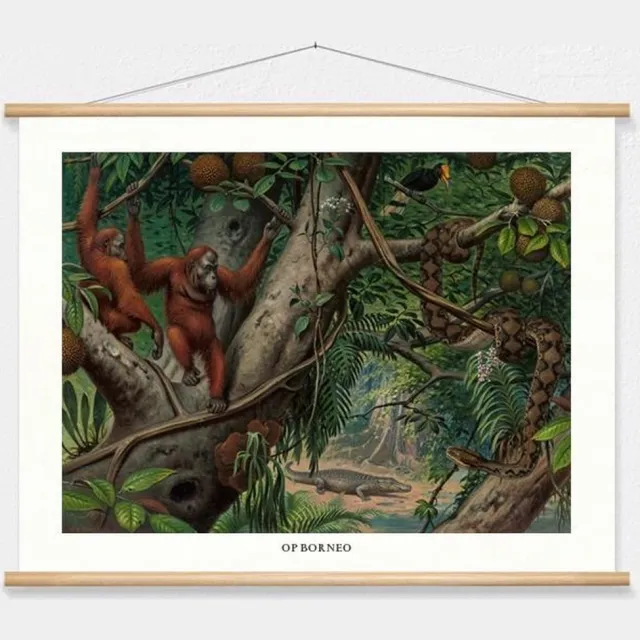 wallchart unlimited Schoolplaat 'Op Borneo' van M.A. Koekkoek wit