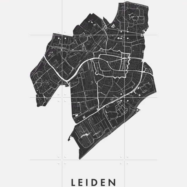 IXXI Leiden City Map, Kunst in Kaart - 60 x 80 cm - Grote wanddecoratie en posters - Technische Tekening, Grafisch Ontwerp, Line art, Abstract Monochroom / Zwart en wit / Zwart