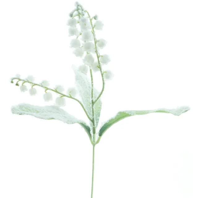 Buitengewoon Boet Buitengewoon de boet - Convallaria sneeuw 34 cm kunsttak onbekend