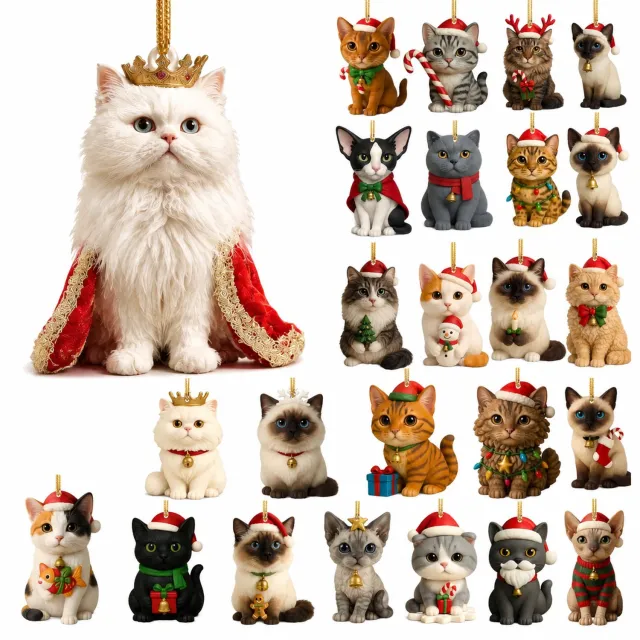 SWGOTA Kattenadventskalender met 24 genummerde vakjes en platte kattenhangertjes in een papieren doos Zwart