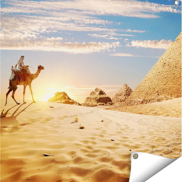 Gards Tuinposter Egyptische Piramides met een Kameel - 70x70 cm - Tuindoek - Tuindecoratie - Wanddecoratie buiten - Tuinschilderij Multikleur
