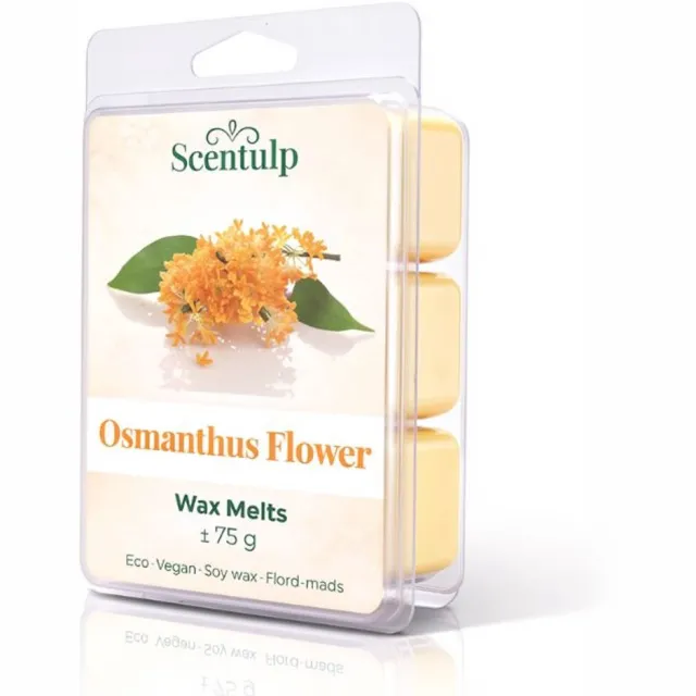 Scentulp Wax Melts Osmanthus – Luxe Bloemengeur – Vegan Sojawax – kubusvormig Oranje