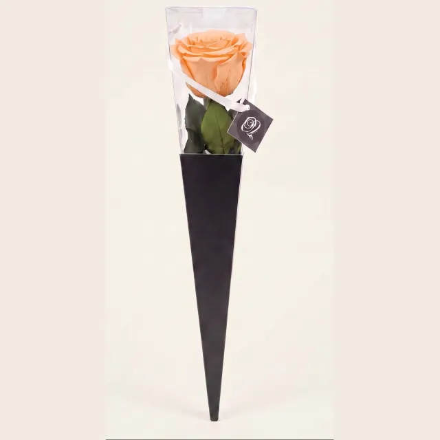 RoseAmor Longlife Roos met Steel 30 cm – Echte Houdbare Roos – Perzik – In Cadeauverpakking