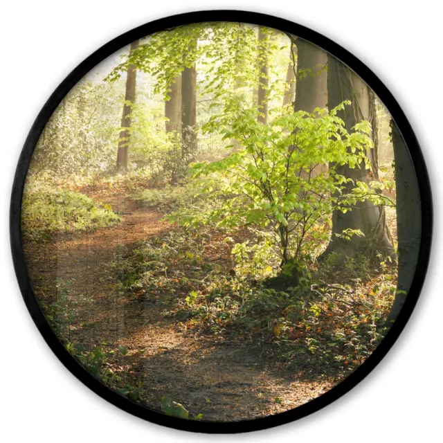FrameYourWall Poster in lijst Rond - Fotolijst 40x40 cm - Posters - Bos - Bomen - Pad - Zon - Planten - Bladeren - Natuur - Ronde posterlijst zwart - Decoratie - Wanddecoratie woonkamer - Muurdecoratie slaapkamer