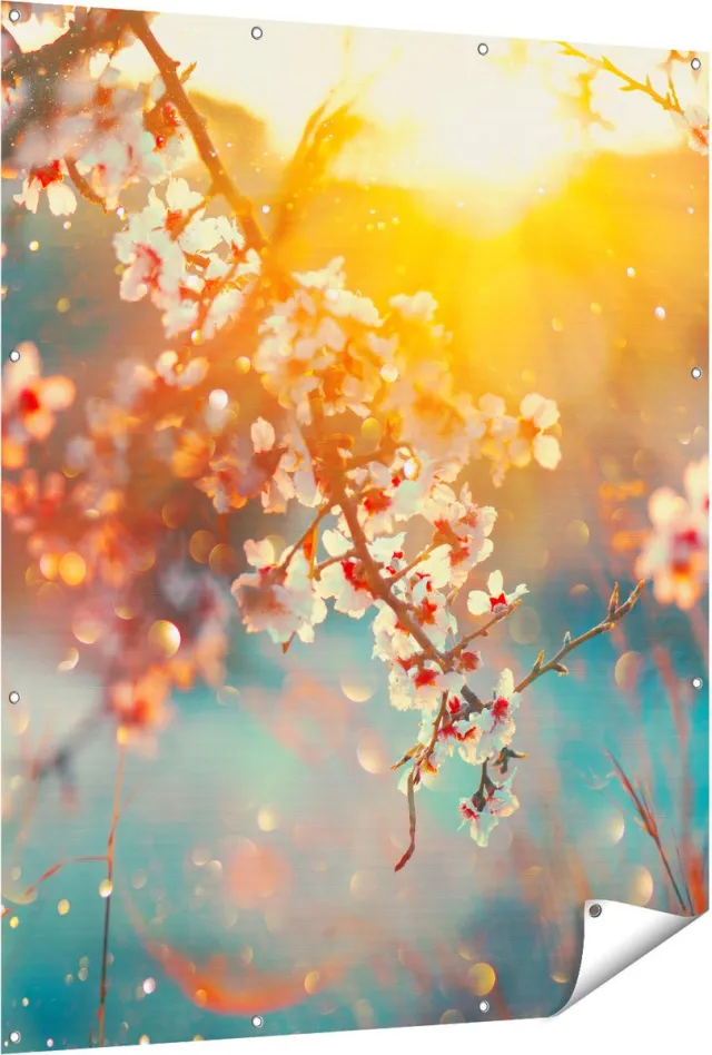 Gards Tuinposter Bloesemboom tijdens Zonsondergang - Bloem - 120x150 cm - Tuindoek - Tuindecoratie - Wanddecoratie buiten - Tuinschilderij Multikleur