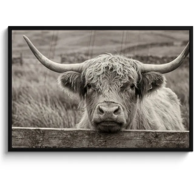 FrameYourWall Poster in lijst - Fotolijst 120x80 cm - Posters - Schotse hooglander - Zwart - Wit - Hout - Posterlijst zwart - Decoratie - Wanddecoratie woonkamer - Muurdecoratie slaapkamer