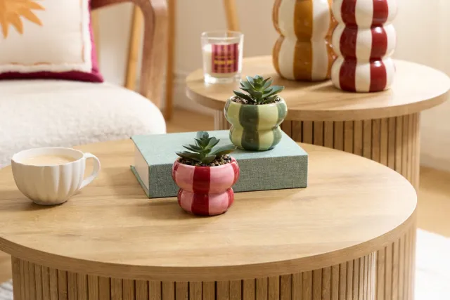 Atmosphera Neya Kunstplant met Pot - Ø9xH10cm - Groen