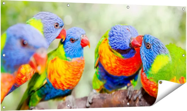 Gards Tuinposter Vier Regenboog Lori Vogels op een Tak - 140x70 cm - Tuindoek - Tuindecoratie - Wanddecoratie buiten - Tuinschilderij Multikleur