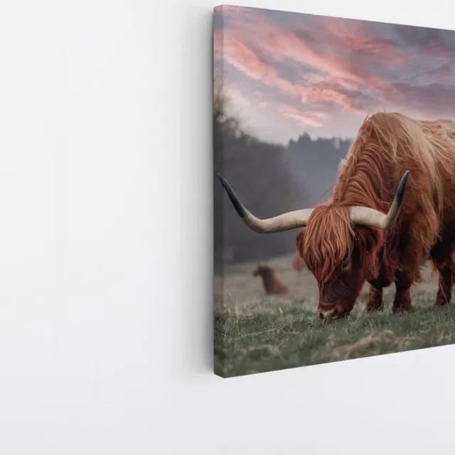 Saammp Canvas Schilderij Schotse Hooglander Koe in de sneeuw- Dieren - Natuur - 20x20 - Foto op canvas - Wanddecoratie - muurdecoratie Woonkamer - Slaapkamer decoratie - Canvas Print Multicolor