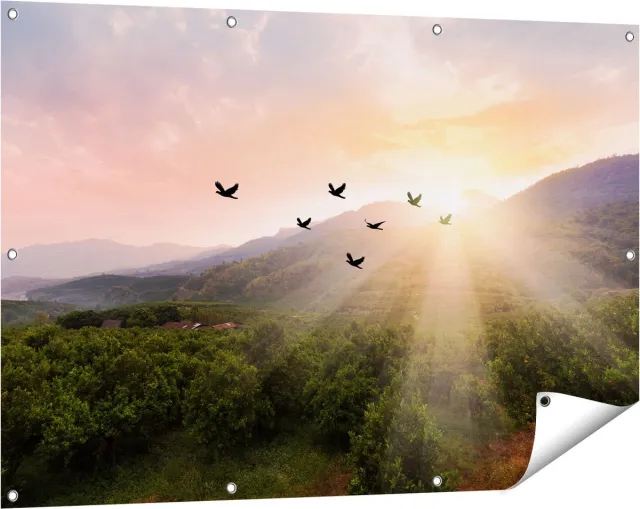 Gards Tuinposter Silhouet Zwerm Vogels bij Zonsondergang - 120x80 cm - Tuindoek - Tuindecoratie - Wanddecoratie buiten - Tuinschilderij Multikleur