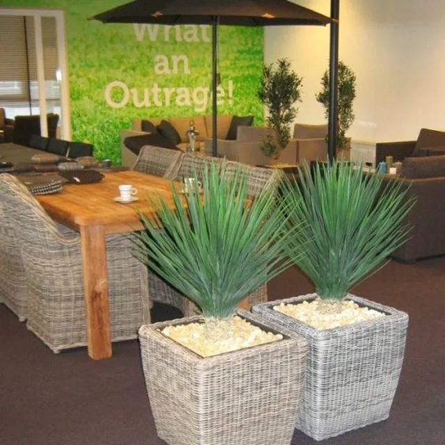 maxifleur Kunstplanten Yucca Rostrata 80cm Groen