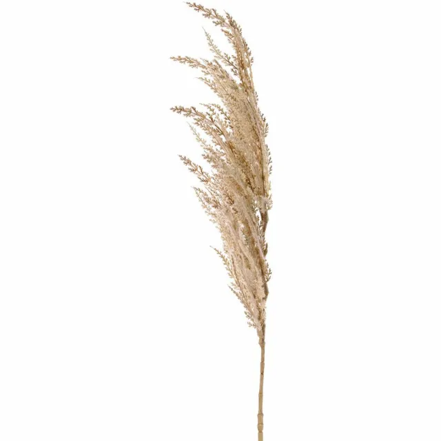 Top Art TopArt Pampasgras pluim losse steel/tak - creme wit - 100 cm - Decoratie kunst bloemen/graspluimen