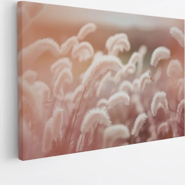 Saammp Canvas Schilderij - Roze fluffy Bloemen - Abstract - 70x50 - Foto op canvas - Wanddecoratie - Muurdecoratie Woonkamer - Kantoor Decoratie Multicolor