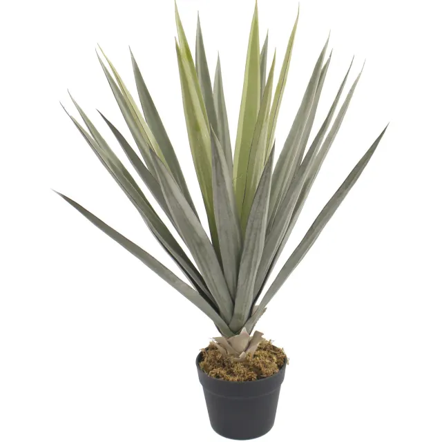 homebound by ky Kunstplant Sage yucca 75cm Meerkleurig