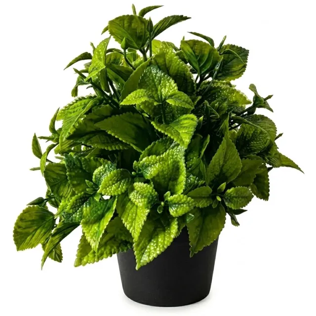 NUVEX Groene kunstplant varen bonsai in zwarte pot – decoratieve nep plant voor huis en kantoor – compacte tafel decoratie voor woonkamer, bureau of kast – kunststof sierplant met realistische bladeren Groen - style 2