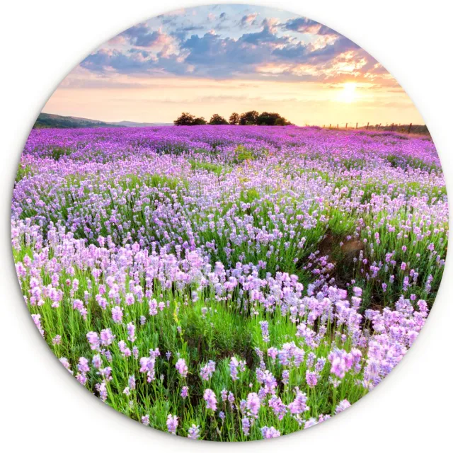 WallCircle Muurcirkel - Bloemen - Paars - Lucht - Zon - Ronde schilderijen - Wandcirkel - Muurcirkel binnen - Kunststof - 90x90 cm - Wanddecoratie rond - Muurdecoratie - Woonkamer Bloemen - Lavendel - Veld